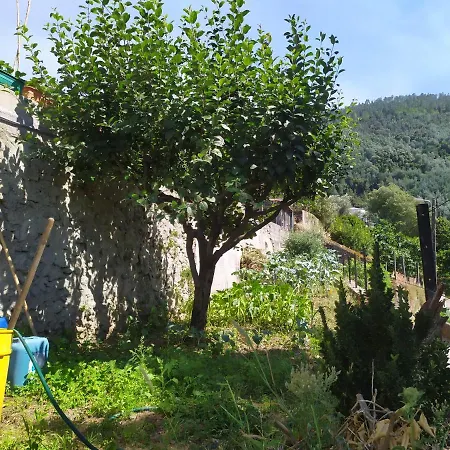 Apartment Casa Da Rota Dos Moinhos Lousa (Coimbra)