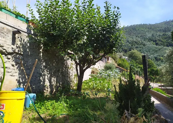 Διαμέρισμα Casa Da Rota Dos Moinhos Lousã