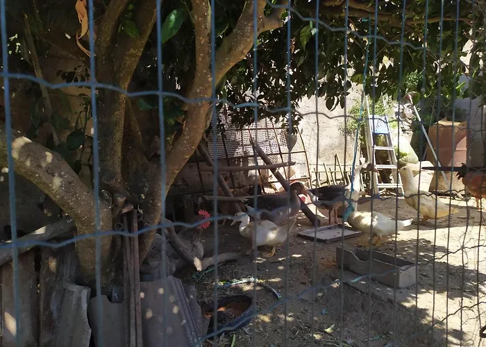 Casa Da Rota Dos Moinhos Διαμέρισμα